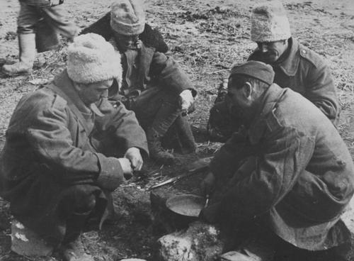Румынские солдаты за приготовлением обеда. Кубань, 1942 г.