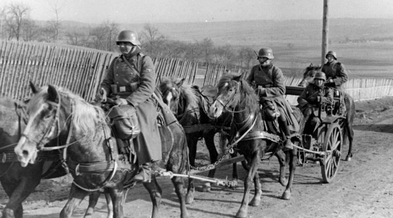 Кавалерийская бригада СС. 1939 г. 