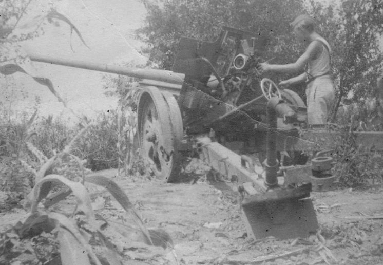 Солдат Вермахта у поврежденного советского орудия под Новороссийском. 30 мая 1943 г. 