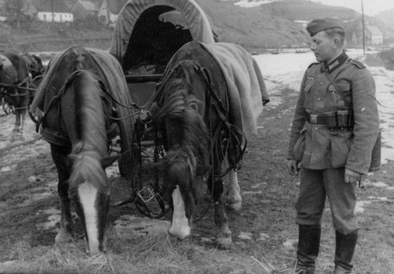 Немецкий обоз в горах. 1940 г. 