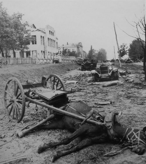 Убитая лошадь во время боев за Смоленск. 1941 г.