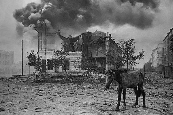 Лошадь на развалинах Сталинграда. 1941 г.