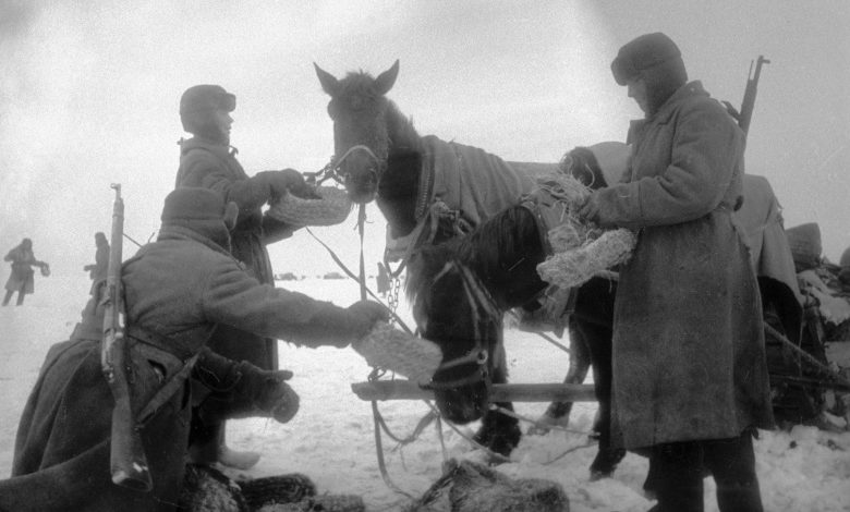 Солдаты скармливают лошадям немецкие соломенные караульные боты. 1942 г.