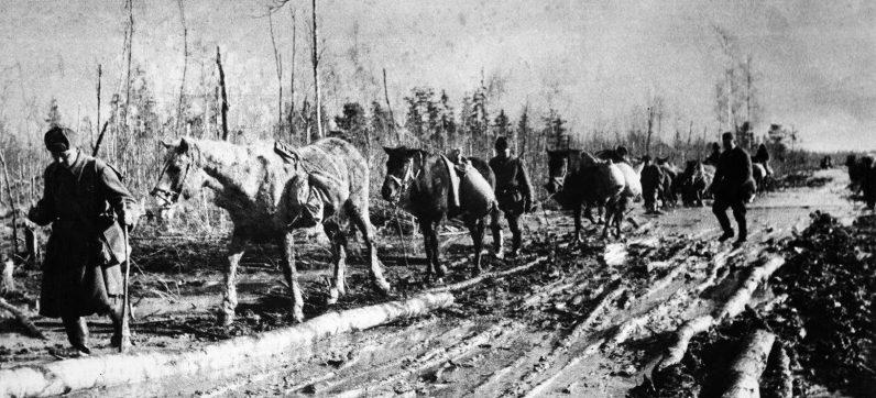 Красноармейцы доставляют боеприпасы и продовольствие на лошадях. Май 1942 г. 