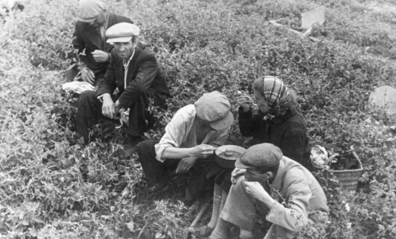 Евреи, во время обеда, используемые на дорожных работ в Кишиневе. Август 1941 г. 