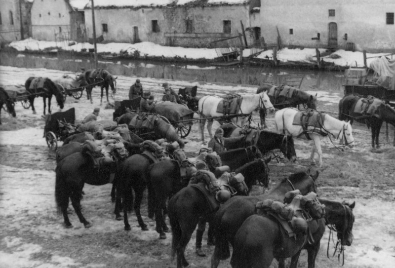 Лошади артиллерийского подразделения Вермахта. 