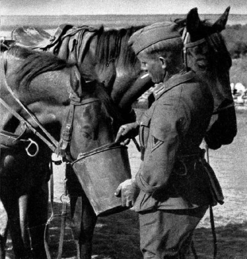 Немецкие солдаты с обоза поят лошадей в советской деревне. 1941 г.