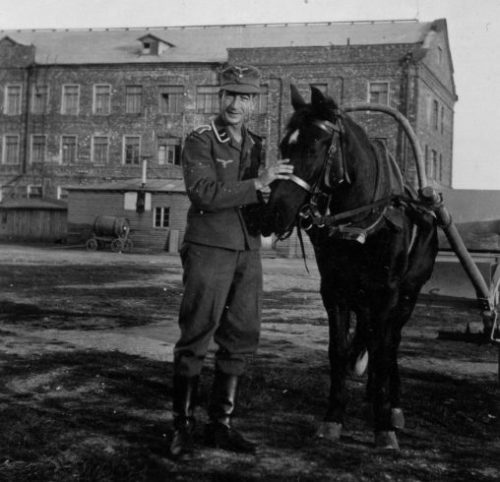 Унтер-офицер люфтваффе с лошадью в оккупированном Пскове. 1941 г.