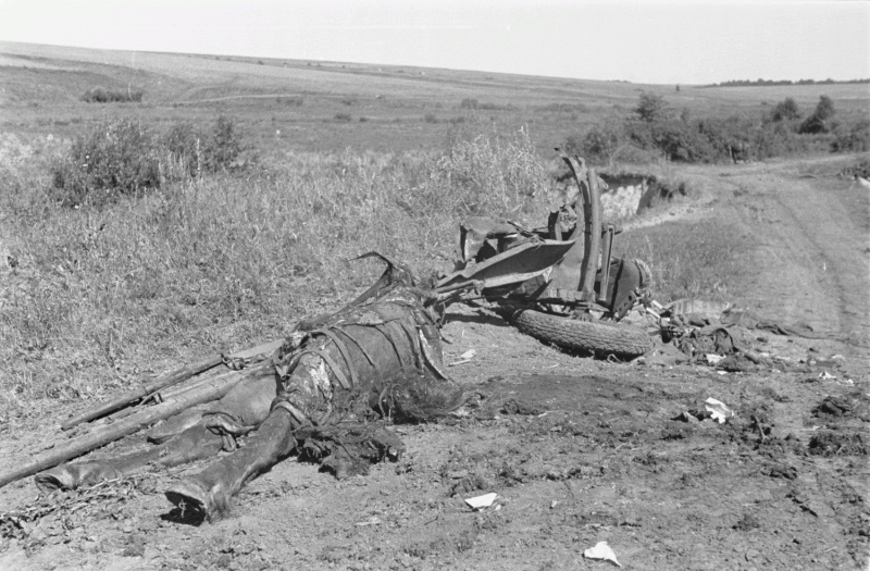 Лошадь и передок советской 45-мм противотанковой пушки, уничтоженные взрывом у дороги в Белгородской области. 1943 г. 
