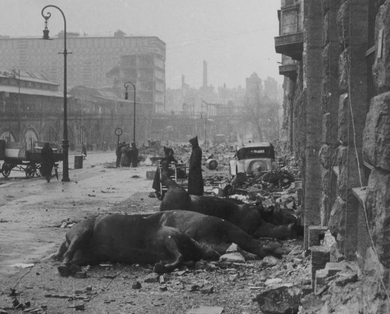 Убитые лошади у моста «Варшауэр Брюке» в Берлине. Апрель 1945 г. 