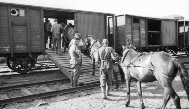 Немецкие солдаты грузят лошадей в вагон на юге России. 1942 г. 