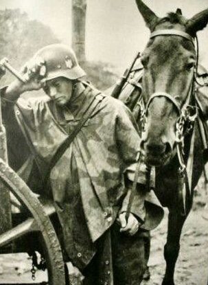 Немецкая кавалерия на Восточном фронте. 1942 г. 