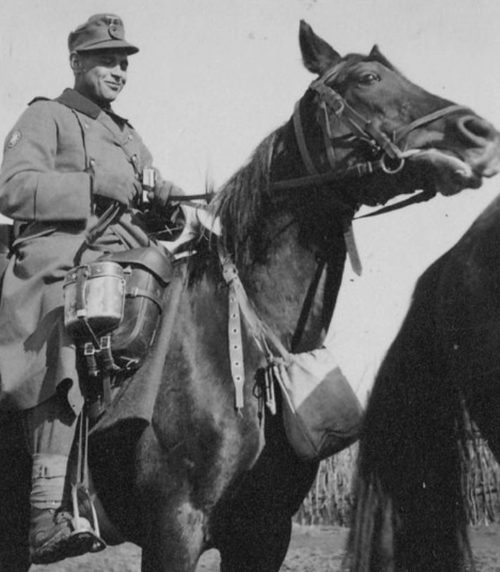 Немецкая кавалерия на Восточном фронте. 1942 г.