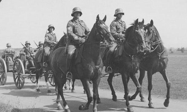 8-я кавалерийская дивизия СС на Восточном фронте. Июнь 1942 г.