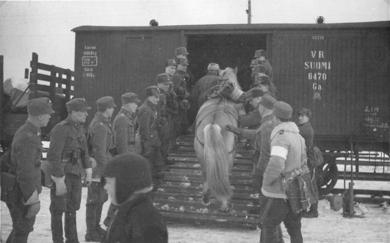 Финские военнослужащие заводят лошадь в железнодорожный вагон. Октябрь 1939 г.