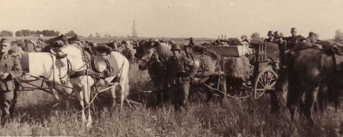 Кавалерийский полк Мите на Восточном фронте. 1943 г. 