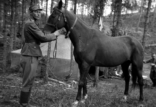 Финские кавалеристы 1940 г. 
