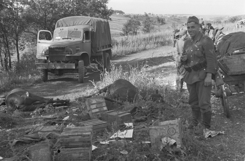 Немецкий солдат из обоза 167-й пехотной дивизии у тел убитых лошадей. 1943 г. 