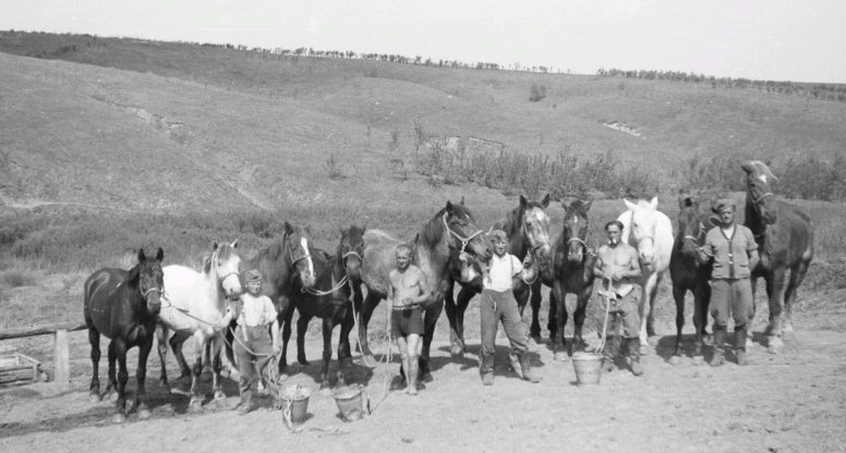 Солдаты немецкой 167-й пехотной дивизии поят обозных лошадей. 1943 г.