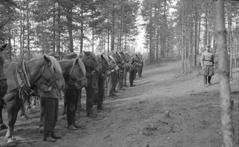 Финские кавалеристы 1940 г.