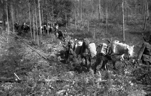 Конный обоз в лесу. 1940 г. 