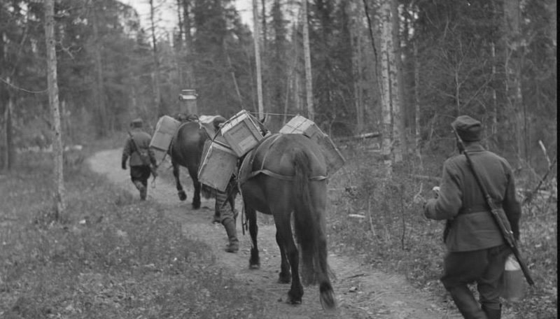 Конный обоз в лесу. 1940 г.