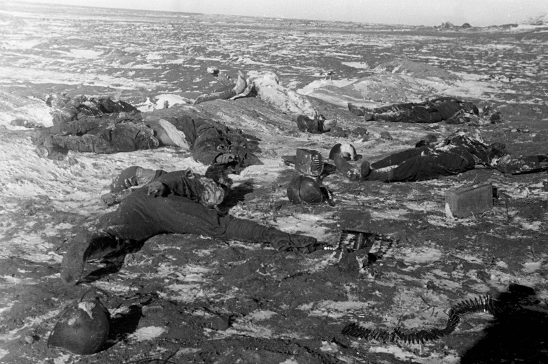 Тела убитых румынских солдат в степи под Сталинградом. Ноябрь 1942 г. 