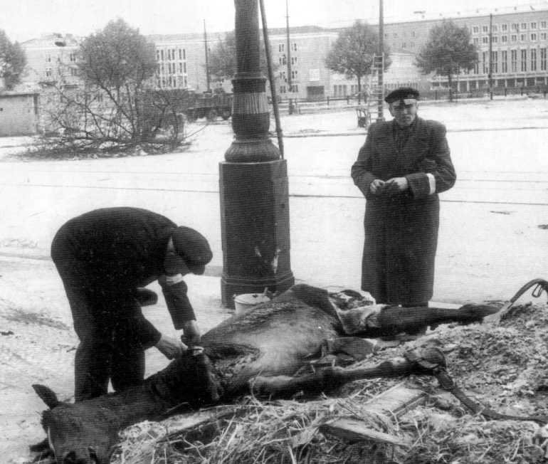 Жители Берлина срезают мясо с убитой лошади. Май 1945 г. 