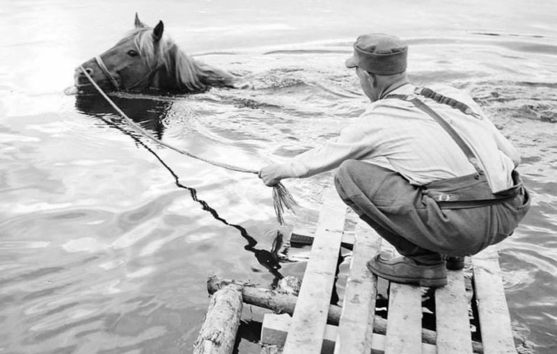 Купание коня. 1943 г.