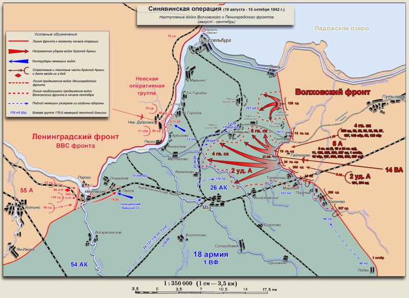 План-схема Синявинской наступательной операции.