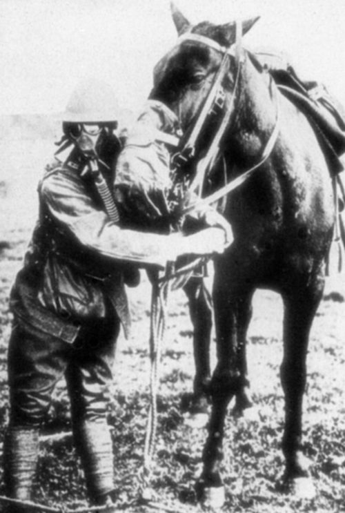 Американский солдат и лошадь в противогазах. 1918 г.