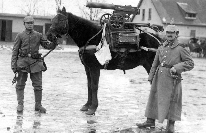 Лошади на Первой мировой войне. 