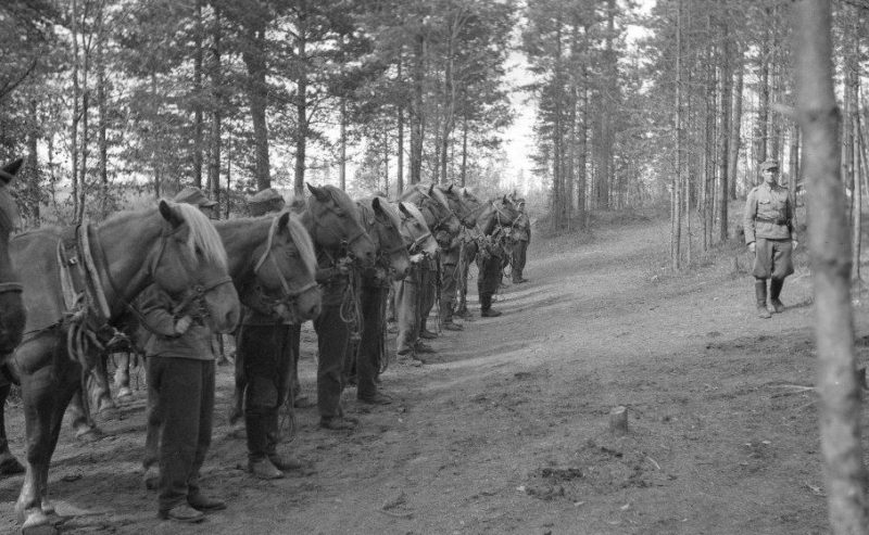 Финские кавалеристы 1940 г.