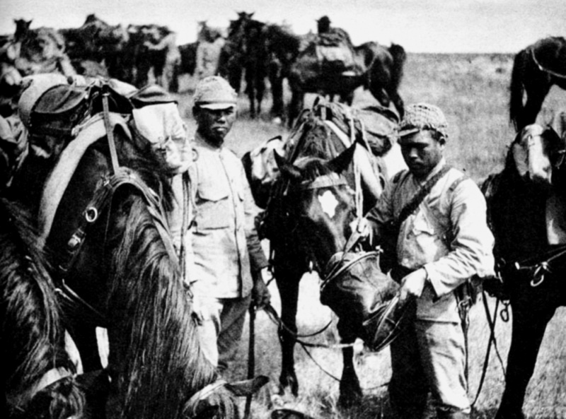 Японские кавалеристы кормят лошадей во время боев на реке Халхин-Гол. 1939 г. 