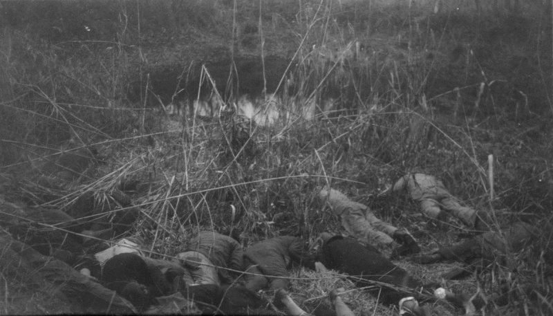 Казненные японскими солдатами китайские мирные жители в лесу в окрестностях Нанкина. Декабрь 1937 г. 