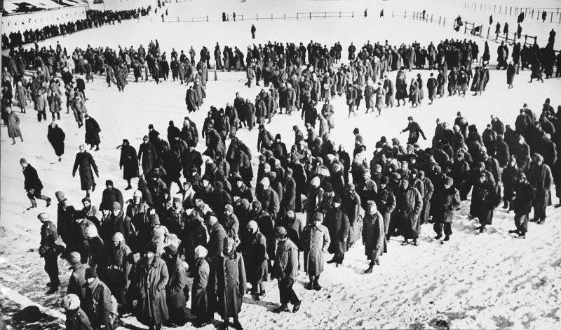 Немецкие военнопленные в окрестностях Сталинграда. Февраль 1943 г.