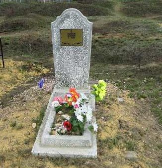 c. Старые Савины Черемисиновского р-на. Памятник, установленный на братской могиле, в которой похоронено 22 советских воина 121 стрелковой дивизии погибших в 1943 году при освобождении села.