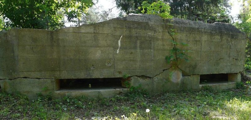 Артиллерийско-наблюдательный пункт, двухэтажный ДОТ №412 на 3 амбразуры, входивший в БРО №3.