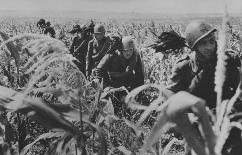 Итальянские части на Восточном фронте. Лето 1942 г. 