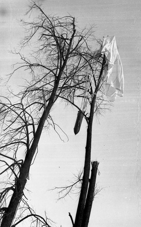 Зависший на дереве контейнер. Февраль 1942 г.
