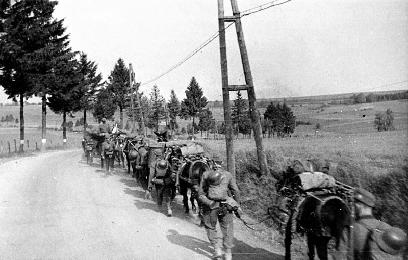 Колонна 1-й горнострелковой дивизии Вермахта на марше во Франции. Май 1940 г. 