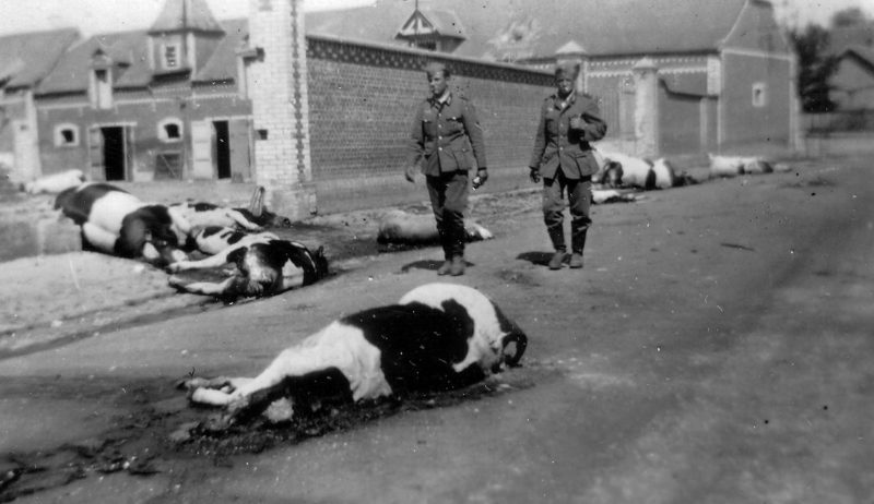 Жертвы боя во французской деревне Сен-Симон. Июнь 1940 г.