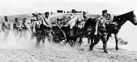 Гужевой транспорт Венгерской армии на Донском фронте. 1942 г. 