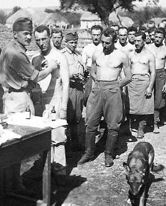 Вакцинация солдат на Донском фронте. Лето 1942 г.
