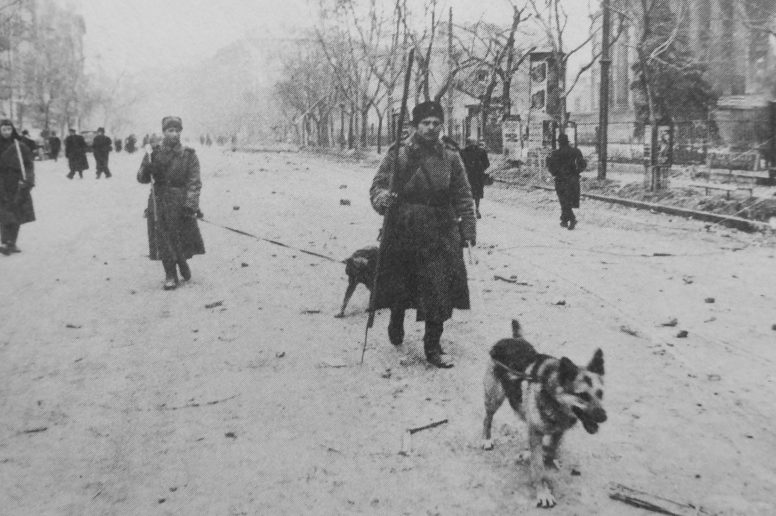 Советские саперы с собаками минно-розыскной службы на улицах в Будапеште. Март 1945 г.
