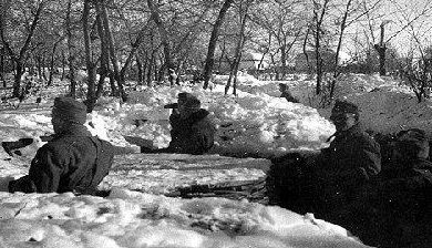 Окопы на берегу Дона. Ноябрь 1942 г.