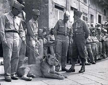 Французы в День взятия Бастилии. Сиена, Италия. 14 июля 1944 г.