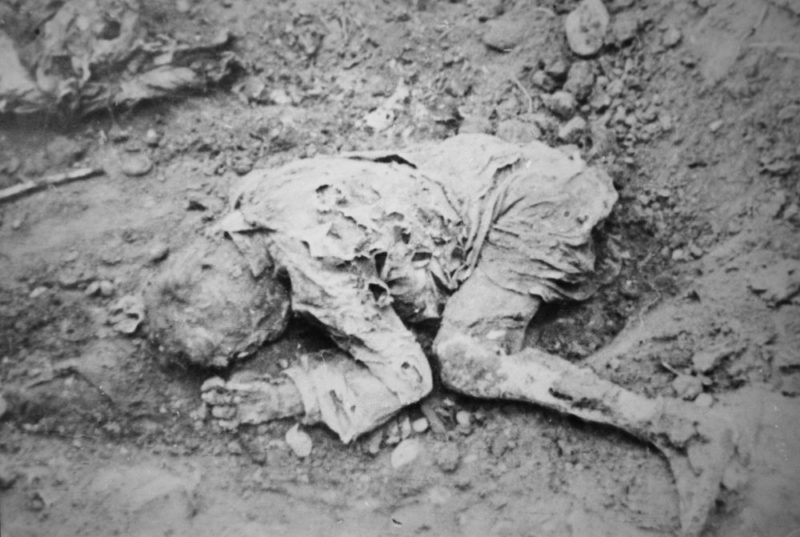 Жертва немецкого расстрела в Майкопе. 1942 г.