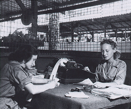 Военнослужащие армейского финансового офиса. 1944 г. 