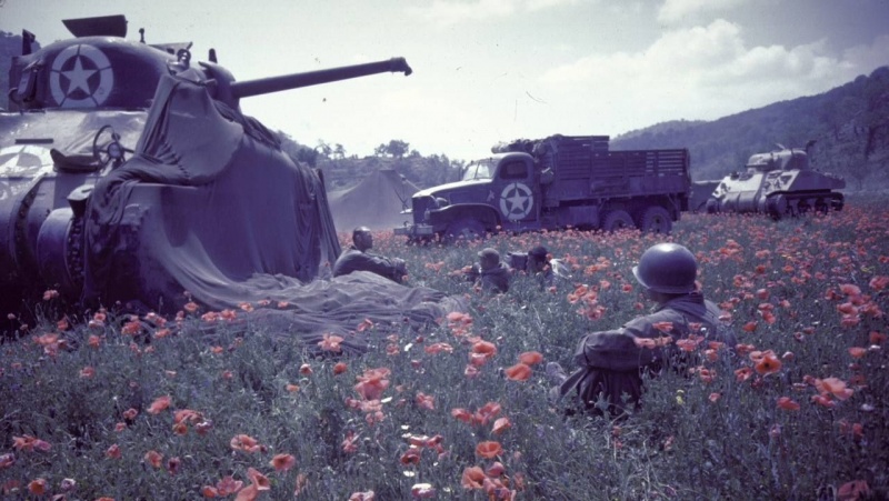 Солдаты «Свободной Франции» отдыхают в маковом поле у танка М4 «Шерман». Август 1944 г.